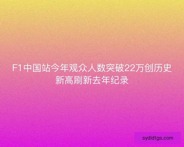 F1中国站今年观众人数突破22万创历史新高刷新去年纪录